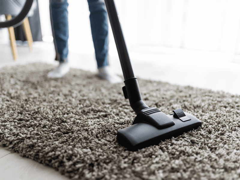 professional rug cleaning