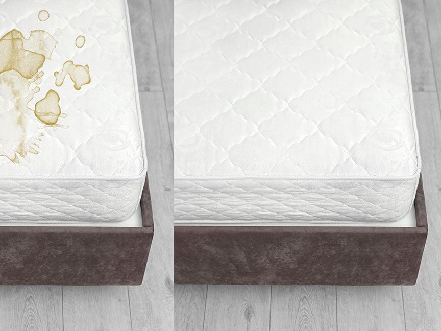 Fabric Protector after every cleaning | House Cleaning services | BAYVIEW ON-SITE