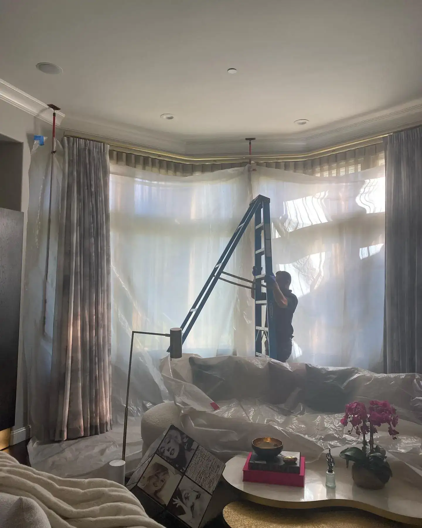 Carpet Cleaner in Belmont