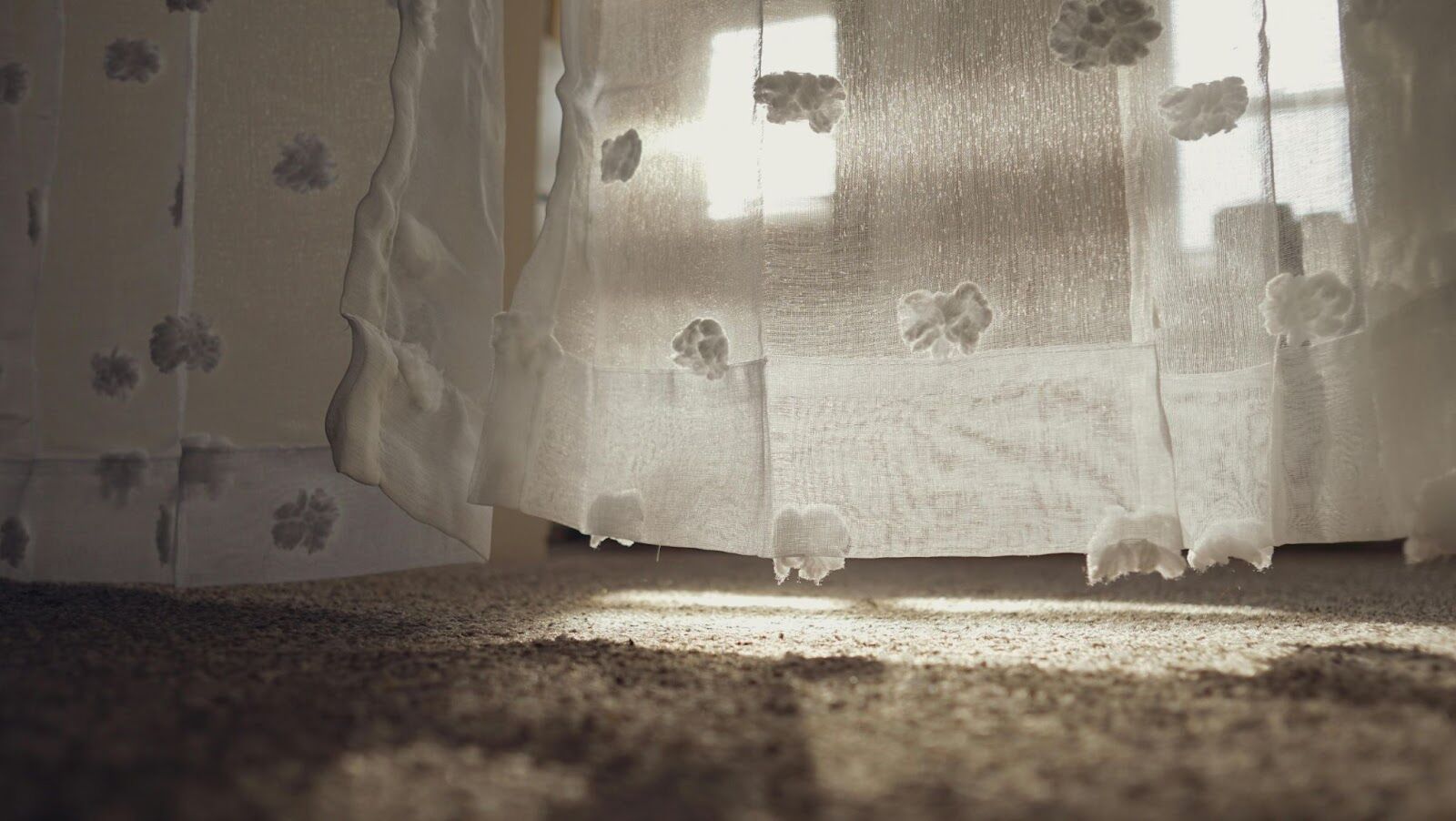 professional restoration