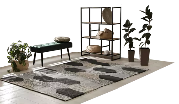 Rug Cleaning in Danville CA