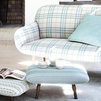 professional Upholstery Cleaning services