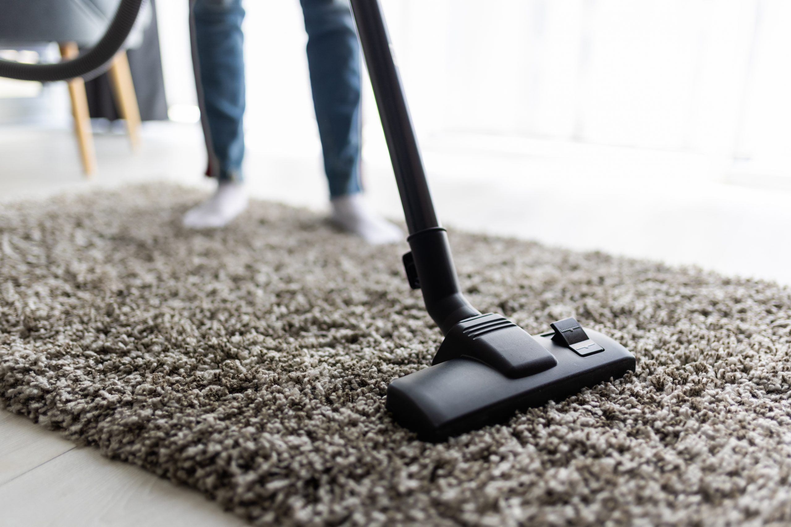Rug and Carpet Cleaning